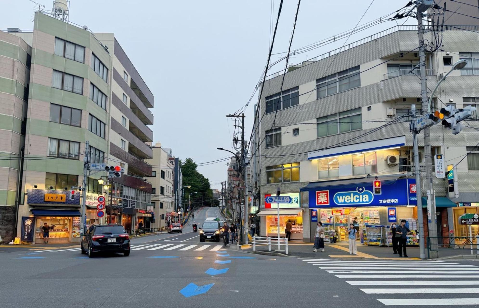 Appartamento Lovetokyo Easy Access Nezu Sunset House 根津駅徒歩1分 2-4人 エレベーター 上野 谷中銀座 根津神社 東京大学 新宿 渋谷 銀座 築地 原宿近い *