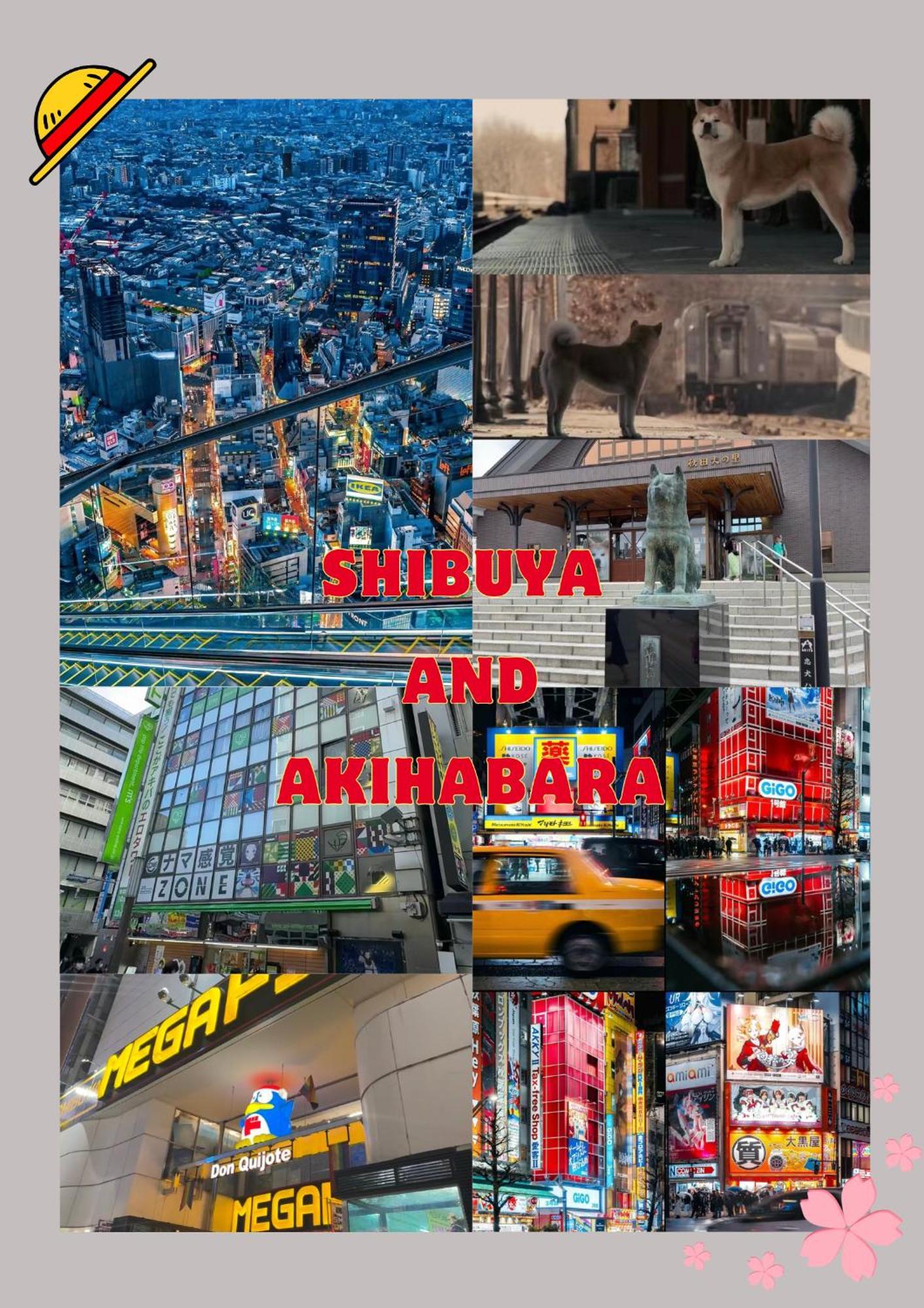 Lovetokyo Easy Access Nezu Sunset House 根津駅徒歩1分 2-4人 エレベーター 上野 谷中銀座 根津神社 東京大学 新宿 渋谷 銀座 築地 原宿近い Appartamento *